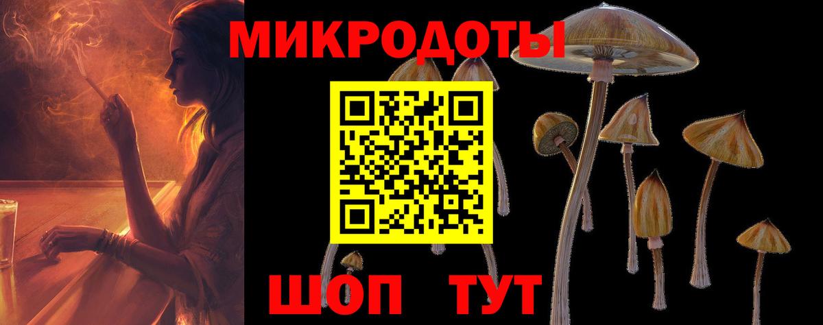 что такое   Галлюциногенные грибы прущие грибы  Вход с VPN  Морозовск  Галлюциногенные грибы GOLDEN TEACHER 