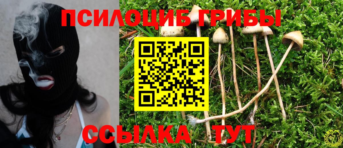 Галлюциногенные грибы Cubensis Морозовск